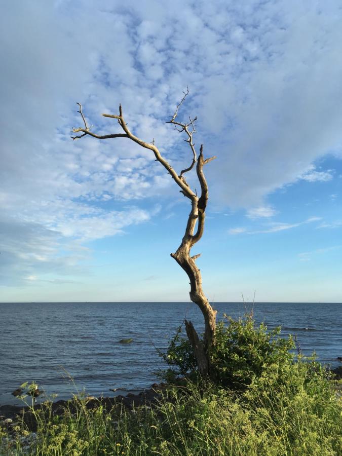 Rum Pa Landet Klagstorp ภายนอก รูปภาพ
